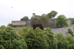 IMG 4685