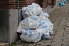 IMG 4865