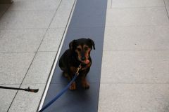 IMG 5496