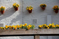 IMG 4587