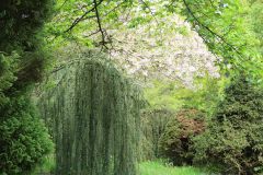 IMG 4732