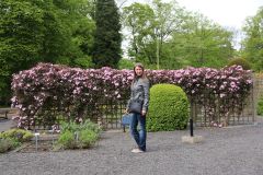 IMG 4729