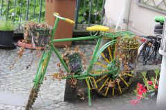 IMG 6655