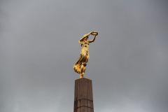 IMG 4901