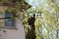 IMG 5341