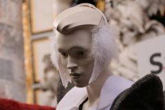 IMG 4334