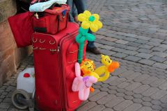 IMG 5294