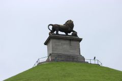 IMG 6584