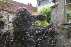 IMG 4578