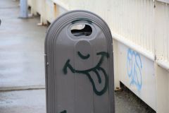 IMG 4164