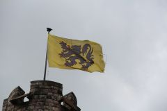 IMG 4379