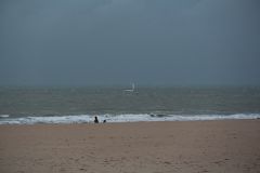 IMG 4142
