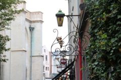 IMG 4256