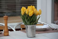 IMG 4141