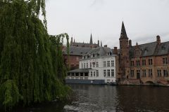 IMG 4527