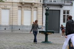 IMG 4367