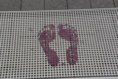 IMG 5191