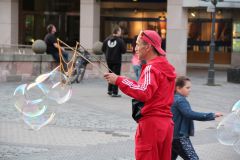 IMG 5295