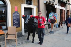 IMG 5871