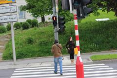 IMG 6651