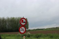 IMG 6267