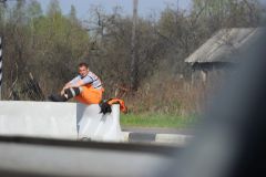 IMG 4866