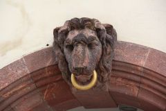 IMG 5555