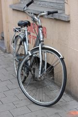 IMG 4299