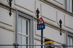 IMG 4553