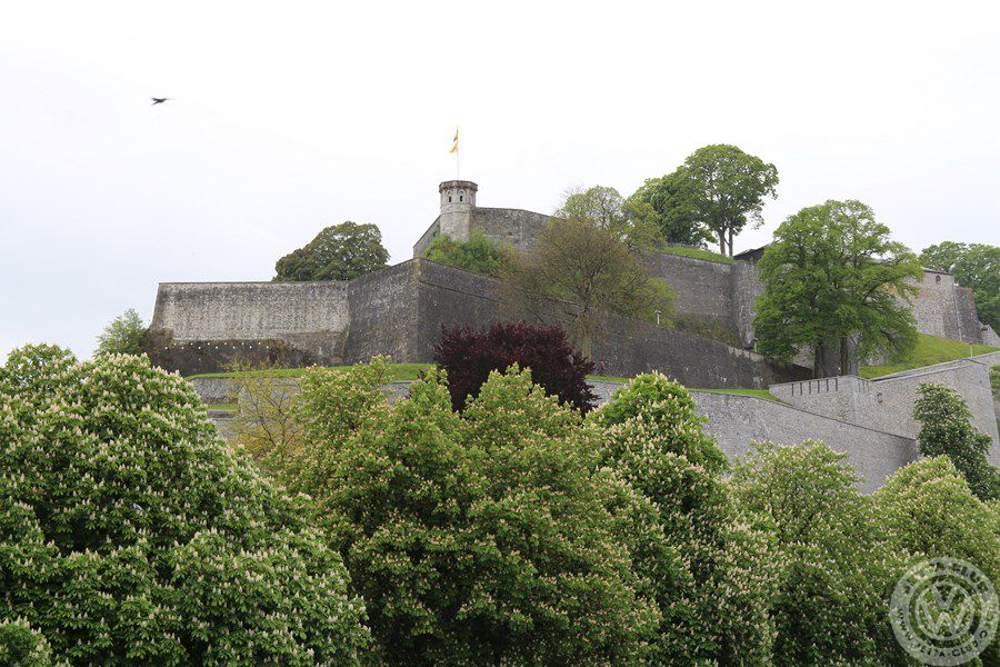 IMG 4685