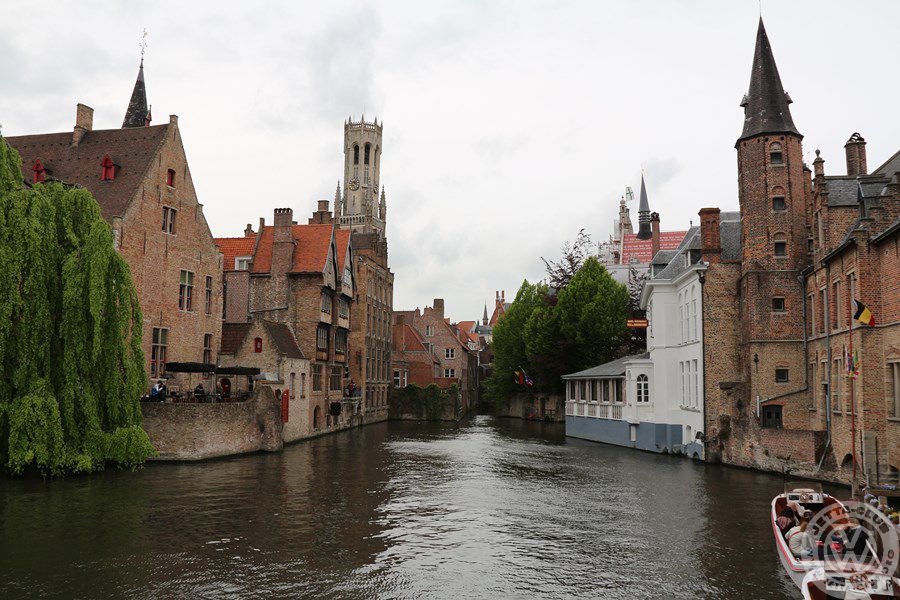 IMG 4528