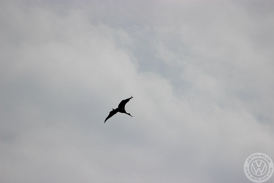 IMG 5043