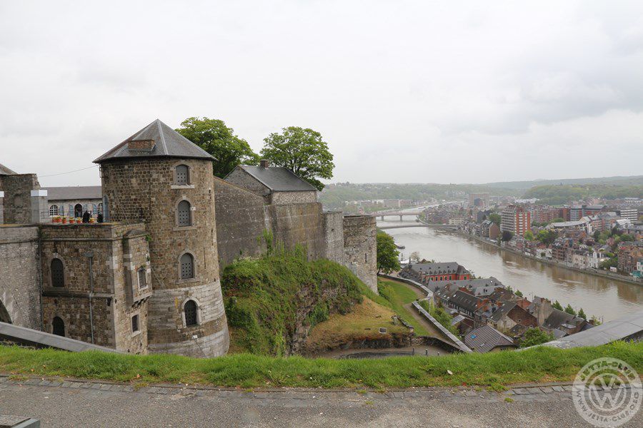 IMG 4716