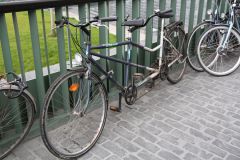 IMG 4324