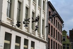 IMG 4385