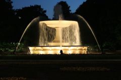 IMG 5884