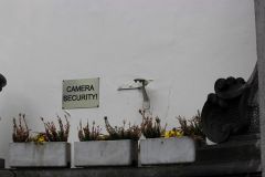 IMG 5640