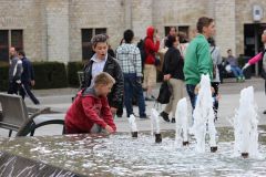 IMG 6090