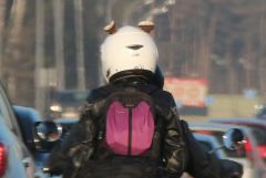 IMG 3645