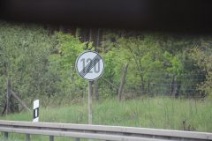 IMG 3750