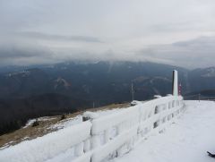 IMG 4707