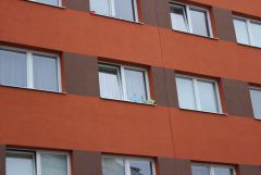 IMG 6767
