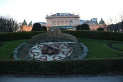 IMG 4162