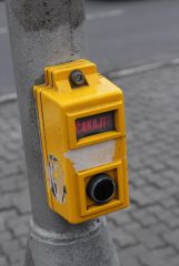 IMG 6675