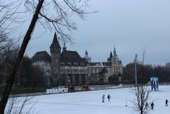 IMG 7351