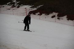 IMG 4135