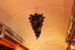 IMG_7121.JPG