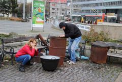 43 IMG 3722