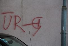 IMG 4147