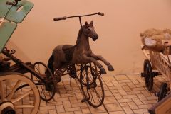 IMG 3786